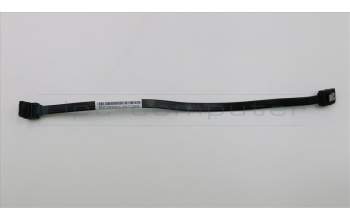 Lenovo 00XL269 CABLE Fru250mmSATA cable 2 latch R_angle