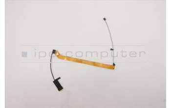 Lenovo 01HX986 Displaykabel RGB Cable,NEC,Amphenol