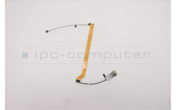 Lenovo 01HX986 Displaykabel RGB Cable,NEC,Amphenol