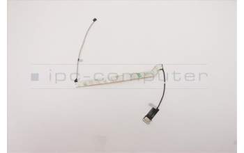 Lenovo 01HX986 Displaykabel RGB Cable,NEC,Amphenol