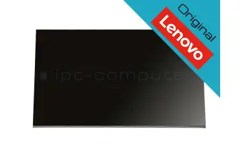 5D10W33976 Lenovo Original IPS Display WQHD matt 100Hz