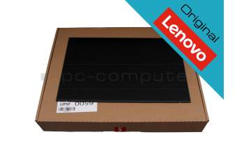 DY044R IPS Display (1920x1200) matt slimline (30 Pin) B-Ware