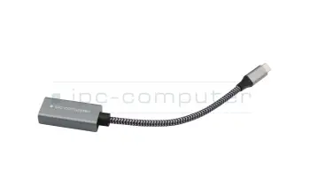 IPC-Computer USBC26 USB-C zu DP Adapter