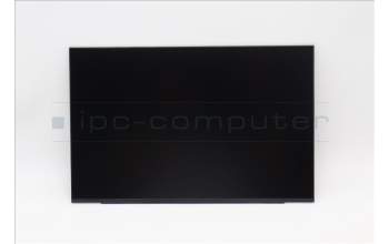 Lenovo 5D11G76218 DISPLAY FRU NE133QDM-N62 V8.0 13.3 WQX