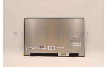 Lenovo 5D11H71477 DISPLAY FRU MNG007DA1-G 16WQX Color CS