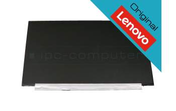 Lenovo 5D10P54289 original TN Display HD (1366x768) matt 60Hz