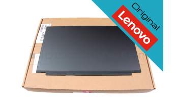 Lenovo 5D11D04807 original IPS Display WQHD (2560x1440) matt 165Hz