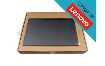 Lenovo 5D11F50179 original IPS Display (1920x1200) matt 165Hz