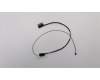 Lenovo 5C10J36139 Displaykabel Cable C E31-70 EDP