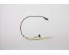 Lenovo 5C10U59379 Displaykabel Cable 3N 81F4